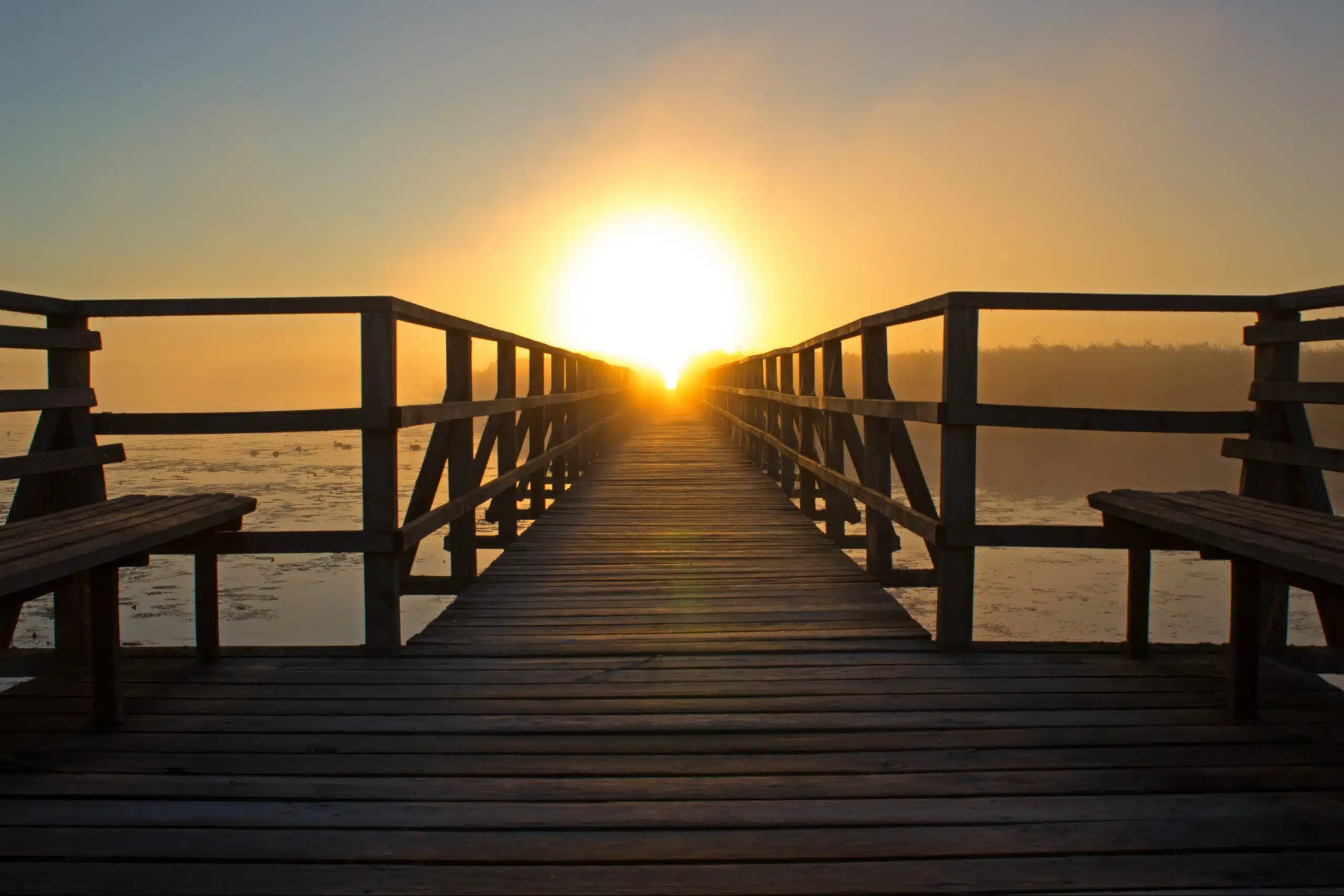 Business coaching: are you building a business that works without you?