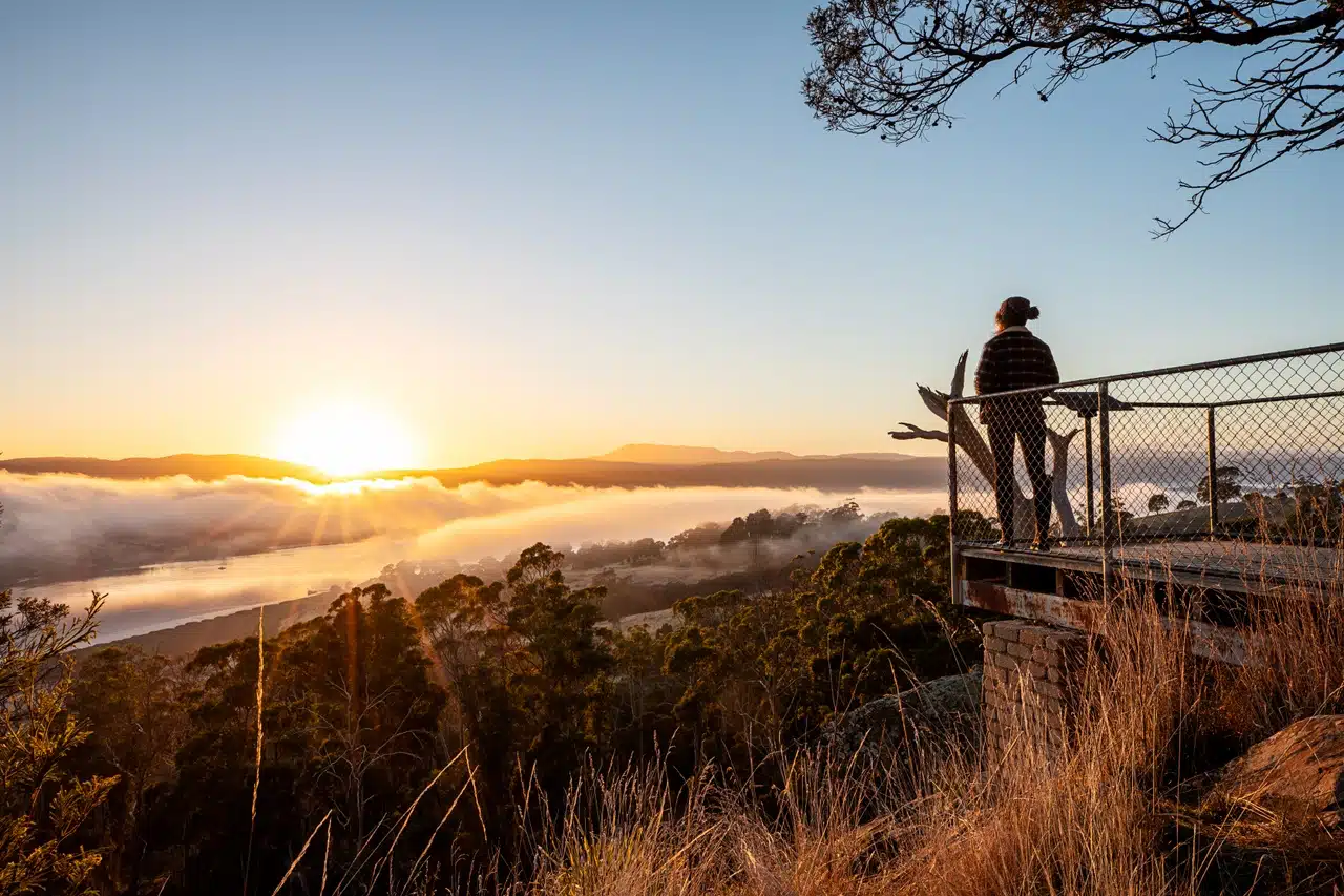 The curious business owner: how a sense of wonder will drive success.