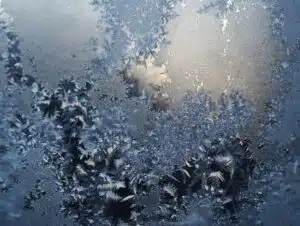 Collins SBA Tax Planning & Business Structures