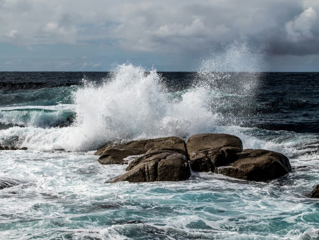 The Hidden Cost of One Chaotic Corporate Card Collins SBA