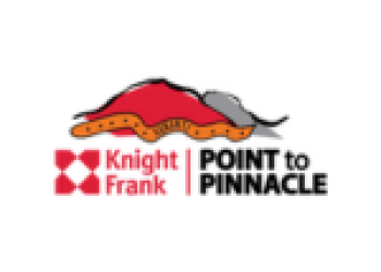 Point to Pinnacle LOGO